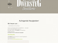 dwersteg.de Webseite Vorschau