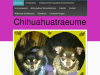 chihuahuatraeume.de Webseite Vorschau