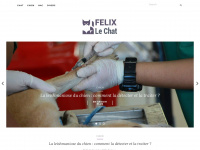 Felix-chat.fr