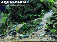 aquascapia.de Webseite Vorschau