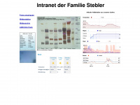 tstebler.ch Webseite Vorschau
