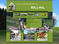 billwil.ch Webseite Vorschau