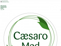 caesaro-med.at Webseite Vorschau