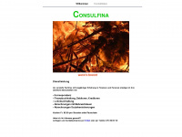 consulfina.ch Webseite Vorschau