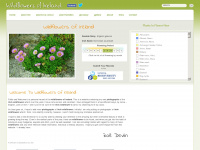 wildflowersofireland.net Webseite Vorschau