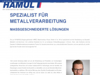 hamuel-plauen.de Webseite Vorschau