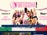 imocovolley.it Webseite Vorschau