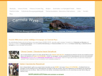 carmelawyss.ch Webseite Vorschau