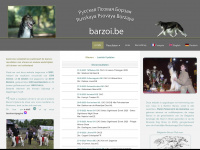 barzoi.be Webseite Vorschau