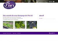 piwiag.ch Webseite Vorschau