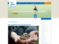 nabu-solingen.de Webseite Vorschau