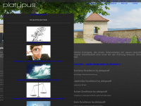 platypus.ch Webseite Vorschau
