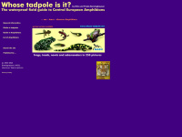 whose-tadpole.de Webseite Vorschau