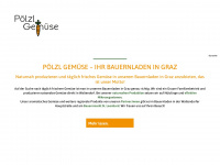 poelzl.at Webseite Vorschau