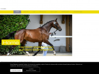 pony-riding.ch Webseite Vorschau