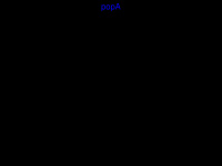 popa.de Webseite Vorschau
