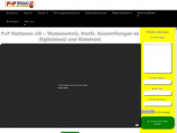 pp-reklamen.ch Webseite Vorschau