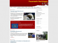 ppvgm.de Webseite Vorschau