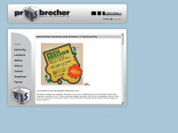 pr-eis-brecher.ch Webseite Vorschau
