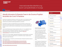 praktikum-in-europa.de Webseite Vorschau