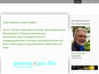 praxis-bioenergetik.de Webseite Vorschau
