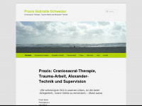 praxis-gs.ch Webseite Vorschau