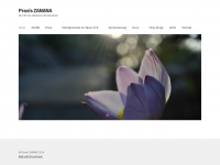 praxis-zanana.ch Webseite Vorschau