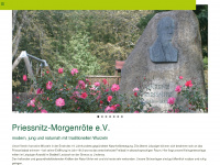 priessnitz-morgenroete.de Webseite Vorschau
