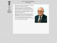 prof-dr-peter-steinmetz.de Webseite Vorschau