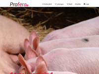 profera.ch Webseite Vorschau