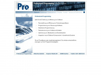 professional-programming.de Webseite Vorschau