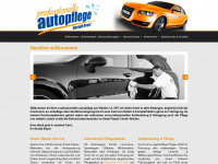 professionelle-autopflege.de Webseite Vorschau