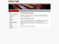 profi-net-gruppe.de Webseite Vorschau