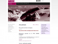 proidioms.ch Webseite Vorschau
