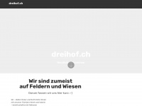 projecthost.ch Webseite Vorschau