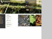 prolinescio.ch Webseite Vorschau