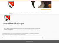 ps-niedergoesgen.ch Webseite Vorschau