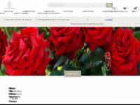 roses.co.uk Webseite Vorschau