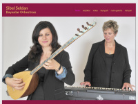 bayanorkestra.com Webseite Vorschau