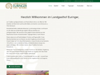 landgasthof-euringer.de Thumbnail