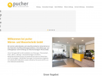 pucher-haustechnik.at Webseite Vorschau