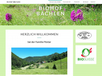 puenter.ch Webseite Vorschau