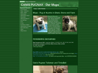 pug.at Webseite Vorschau