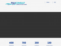 puliconsult.ch Webseite Vorschau