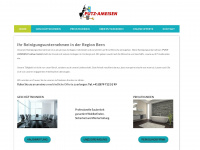 putzameisen.ch Webseite Vorschau