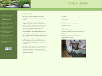 putzengel-service.de Webseite Vorschau