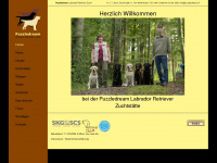 puzzledream.ch Webseite Vorschau