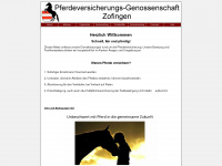 pvgz.ch Webseite Vorschau