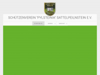 pylsteinia.de Webseite Vorschau