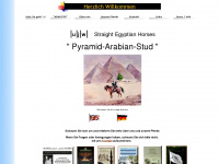 pyramid-arabian-stud.de Webseite Vorschau